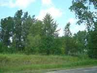 30-04-210-001-256 photo