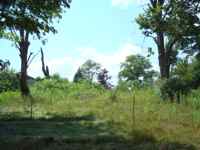 30-09-034-400-006 photo