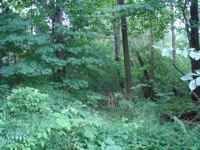 30-11-175-001-040 photo