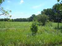 30-18-010-100-009 photo