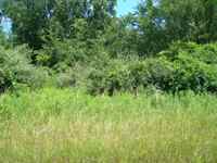30-18-055-001-036 photo